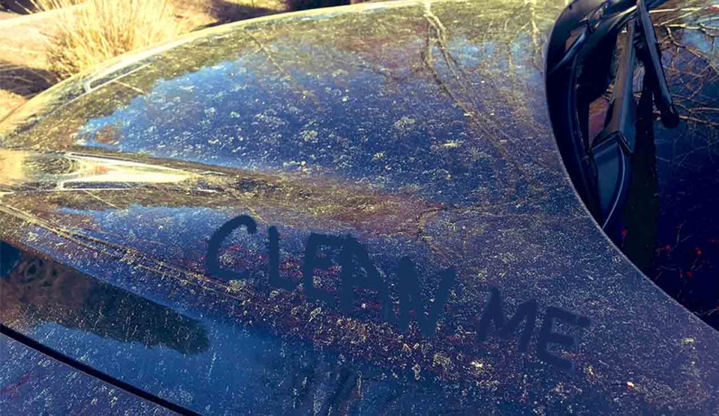 protecting car from pollen, a vehicle's finish