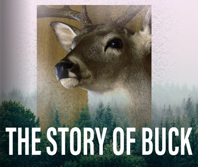 Graphic image linking to site about Buck, the deer in Collision Center TV commercials