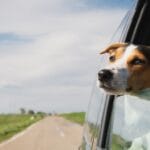 When Will My Car be Ready? 9 Things that Can Slow Down Repairs